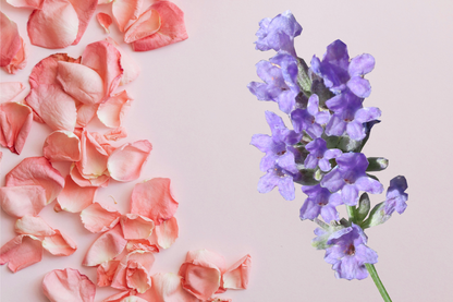 Lavender + Rose Scented Candle